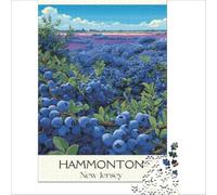 Puzzles 1000 pièces New Jersey Travel | Défi difficile Activités amusantes à faire à la maison Renforcer l'amour entre les couples 38x52cm