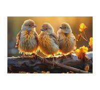 Puzzles 1000 Pièces，Oiseaux, Magnifique Soleil, n’est-ce Pas?，Affiche Mur Art pour Cadeaux Adultes Enfants Jeux Jouets Éducatifs（75x50cm）-AK83