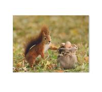 Puzzles 1000 Pièces，Portrait d’Un écureuil Roux Tenant Un Sachet de Noix，Puzzles 1000 Pièces - Jeux Éducatifs Jouets Joli Cadeau Assemblage De Puzzles pour Adultes（50x70cm）-H97