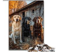 Puzzles 1000 pièces pour Adolescents, Labrador de la Ferme, pour 14 Ans et Plus, pour s'amuser en Famille et Jouer en soirée, Collection d'artistes, Beaux-Arts (Taille 26x38cm)