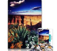 Puzzles 1000 pièces pour Adolescents, Magnifiques Puzzles de rivière de Montagne, Cadeaux d'anniversaire, décoration Murale pour Les 14 Ans et Plus (Taille 38x26cm)