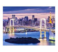 Puzzles 1000 pièces pour adultes - Belle vue nocturne de Tokyo, Japon Jigsaw Puzzle - Jouets colorés pour l'éducation et la relaxation 26x38cm