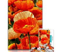 Puzzles 1000 pièces pour Adultes, Cadeaux, Peinture à l'huile de Coquelicots pour Adolescents, Casse-tête - Cadeau d'anniversaire pour Hommes (Taille 38x26cm)