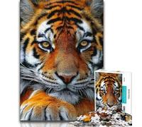Puzzles 1000 pièces pour Adultes et Adolescents Portraits de Tigre Anti-Stress défi Difficile Cadeaux du Père Noël Secret 75x50cm