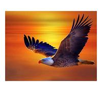 Puzzles 1000 Pièces pour Adultes et Enfants - Puzzle Difficile pour Adultes - Aigle Volant - Puzzles Difficiles et Presque Impossibles (75x50cm)