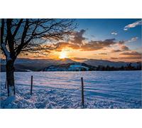 Puzzles 1000 pièces pour Adultes, Jeux de société, Cadeaux pour Hommes et Adultes, avec Peinture par numéro, paysages naturels, Champs, Coucher de Soleil, Montagnes, 38 x 52 cm