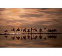 Puzzles 1000 pièces pour Adultes, Jeux éducatifs, paysages naturels, Coucher de Soleil, océan, Miami, Floride, océan Atlantique, 26 x 38 cm