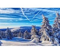 Puzzles 1000 pièces, Puzzle Impossible pour Adultes, Jeux éducatifs, Cadeaux pour Hommes, Paysage Naturel, forêt, République tchèque, Montagnes Jeseniki 38 x 52 cm