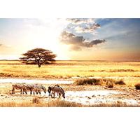 Puzzles 1000 pièces, Puzzle Impossible pour Adultes, Jeux éducatifs, Cadeaux pour Hommes, paysages naturels, Animaux, Savane, Afrique, Animaux africains 50 x 70 cm