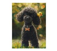 Puzzles 1000pcs(52x38cm) pour Adolescentes Adorable Poodle with Yellow Duck Toy -1 Puzzle Casse-tête, Jeu Difficile, Cadeau Anti-Stress 1000pcs(52x38cm)