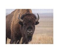 Puzzles 1000pcs(52x38cm) pour Adolescents American Bison Portrait Puzzles pour Adultes Jeu Manuel Course De Vitesse pour Les Mains Aidez Votre Cerveau À S'exercer 1000pcs(52x38cm)