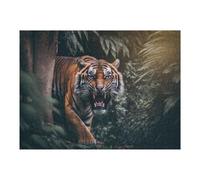 Puzzles 1000pcs(52x38cm) pour Adolescents Angry Tiger Puzzles pour Adultes Jeu Manuel Course De Vitesse pour Les Mains Aidez Votre Cerveau À S'exercer 1000pcs(52x38cm)