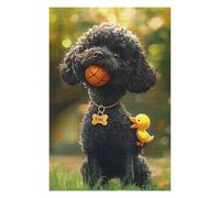 Puzzles 1000pcs(75x50cm) pour Adultes Adorable Poodle with Basketball and Rubber Duck Puzzles pour Adultes Jeu De Réflexion Cadeau d'anniversaire pour Les Amis Et La Famille 1000pcs(75x50cm)