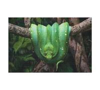 Puzzles 1000pcs(75x50cm) pour Adultes Green Tree Python Coiled on Branch Casse-têtes pour Adultes Jeu Pratique, Analyse Et Logique Idées Cadeaux Et Anniversaires Uniques 1000pcs(75x50cm)