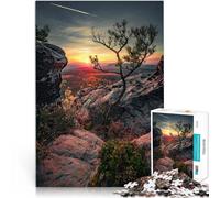 Puzzles 2000 pièces pour Adultes Arbre Solitaire Jouets de Jeu pour Cadeau Familial Renforcer l'amour Entre Les Couples 70x100cm