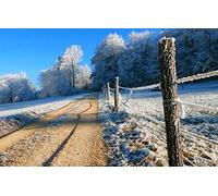 Puzzles 2000 pièces, Puzzle Impossible pour Adultes, Jeux éducatifs, Cadeaux pour Hommes, Paysage Naturel, Route, forêt 70 x 100 cm