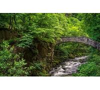 Puzzles 2000 pièces, Puzzle Impossible pour Adultes, Jeux éducatifs, Cadeaux pour Hommes, Paysage Naturel, forêt, Pont 70 x 100 cm
