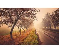 Puzzles 2000 pièces, Puzzle Impossible pour Adultes, Jeux éducatifs, Cadeaux pour Hommes, Paysage Naturel, Route 70 x 100 cm