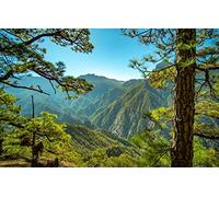 Puzzles 2000 pièces, Puzzle Impossible pour Adultes, Jeux éducatifs, Cadeaux pour Hommes, paysages naturels, forêt, Montagnes, La Palma 70 x 100 cm