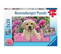 Puzzle Puzzles 2x24 P - Amis Tout Doux