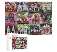 Puzzles 300 PCS pour Adolescents Cute Puppies Garden Basket Puzzles pour Adultes - Jeux De Construction - Analyse Et Logique - Idées Cadeaux pour Toute La Famille 300 PCS