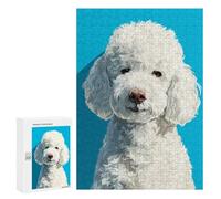 Puzzles 300 PCS pour Adolescents Fluffy White Poodle Portrait Puzzles pour Adultes Améliore La Mémoire Défi Éducatif Réduction du Stress Cadeaux 300 PCS
