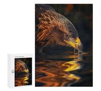 `Puzzles 300 PCS pour Adolescents Magical Eagle in The Dark Puzzles pour Adultes Jeux De Détente Découpe De Précision Offre Spéciale Cadeaux pour Toute La Famille 300 PCS