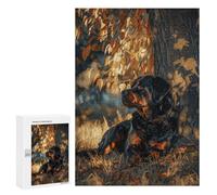 `Puzzles 300 PCS pour Adolescents Rottweiler Under A Tree Puzzles pour Adultes Jeux De Détente Découpe De Précision Offre Spéciale Cadeaux pour Toute La Famille 300 PCS