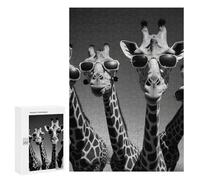 Puzzles 300 PCS pour Adultes Giraffe Rap Band Adolescents Puzzles Jeu Manuel Découpe De Précision Aide À Stimuler Le Cerveau 300 PCS