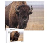 Puzzles 500 PCS pour Adolescents American Bison Portrait Puzzles pour Adultes - Jouets À Faire Soi-même, mais Aussi Un Défi Éducatif Amusant Et Humoristique 500 PCS