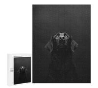 Puzzles 500 PCS pour Adolescents Flat-Coated Retriever Photography Puzzle Adulte Jeu Familial Une Œuvre d'art À Offrir en Cadeau À Toute La Famille 500 PCS