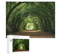 Puzzles 500 PCS pour Adolescents Green Forest Tunnel Path Puzzles pour Adultes - Jouets À Faire Soi-même, mais Aussi Un Défi Éducatif Amusant Et Humoristique 500 PCS