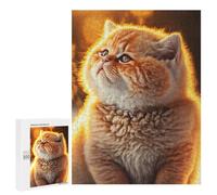 Puzzles 500 PCS pour Adolescents Orange Cute Cat Puzzles pour Adultes - Jeux De Construction - Analyse Et Logique - Idées Cadeaux pour Toute La Famille 500 PCS