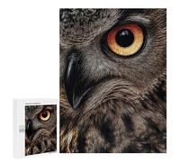 Puzzles 500 PCS pour Adultes Intense Owl Eye Close-Up Adolescents Puzzles Jeu Manuel Découpe De Précision Aide À Stimuler Le Cerveau 500 PCS