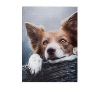 Puzzles 500 pièces pour Adultes Familles Jeu de Puzzle pour Toute la Famille Puzzles stimulants,Border Collie Brun Bokeh Dieu aux Yeux Jaunes