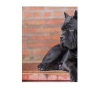 Puzzles 500 pièces pour Adultes Familles Jeu de Puzzle pour Toute la Famille Puzzles stimulants,Cane Corso, Gros Chiens Noirs, Animaux de Compagnie