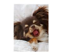 Puzzles 500 pièces pour Adultes Familles Jeu de Puzzle pour Toute la Famille Puzzles stimulants,Chien Chihuahua Mignon
