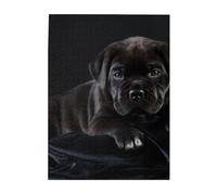Puzzles 500 pièces pour Adultes Familles Jeu de Puzzle pour Toute la Famille Puzzles stimulants,Chiot Cane Corso Pets Chiot Cane Corso Noir