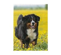 Puzzles 500 pièces pour Adultes Familles Jeu de Puzzle pour Toute la Famille Puzzles stimulants,Joyeux Bouvier Bernois