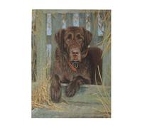 Puzzles 500 pièces pour Adultes Familles Jeu de Puzzle pour Toute la Famille Puzzles stimulants,Lévriers Mignons