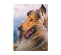 Puzzles 500 pièces pour Adultes Familles Jeu de Puzzle pour Toute la Famille Puzzles stimulants,Magnifique Colley à Poil Long