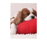 Puzzles 500 pièces pour Adultes Familles Jeu de Puzzle pour Toute la Famille Puzzles stimulants,Modèle Cavalier King Charles Spaniel