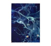 Puzzles 500 pièces pour Adultes Familles Jeu de Puzzle pour Toute la Famille Puzzles stimulants,Neurologie des neurones et des cellules cérébrales 3D