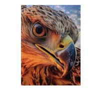 Puzzles 52x38cm/1000pcs pour Adolescents Eagle Close Up Puzzles À Monter Soi-même, Jouets De Course À La Main, Une Offre Idéale comme Cadeau pour Toute La Famille 52x38cm/1000pcs