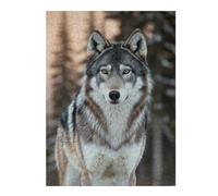 Puzzles 52x38cm/1000pcs pour Adolescents Wolf Portrait in Winter Puzzles À Monter Soi-même, Jouets De Course À La Main, Une Offre Idéale comme Cadeau pour Toute La Famille 52x38cm/1000pcs