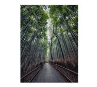 Puzzles 52x38cm/1000pcs pour Adultes Path in The Bamboo Puzzle Anti-Stress, Jouet De Décoration Intérieure, Défi Éducatif 52x38cm/1000pcs