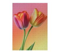 Puzzles 52x38cm/1000pcs Two Colorful Tulips Fine Art Nature Casse-tête pour Adultes, Jeu De Réflexion, pour S'amuser en Famille, Cadeaux d'anniversaire Et De Noël Uniques 52x38cm/1000pcs