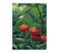 Puzzles 700 Pièces Adultes Fruits Plantes, Jouet Educatif Développe Observation et Logique, Puzzle Adultes 700 Pièces 52 x 38 cm