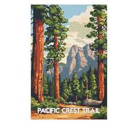 Puzzles 75x50cm/1000pcs pour Adolescents Pacific Crest Trail Landscape Puzzles pour Adultes Jeux De Société pour S'amuser en Famille Un pour Les Jeux 75x50cm/1000pcs
