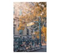Puzzles 75x50cm/1000pcs pour Adultes Sunlight in Paris Puzzle Anti-Stress, Jouet De Décoration Intérieure, Défi Éducatif 75x50cm/1000pcs